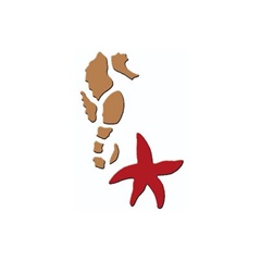 3D шаблон Морско конче и морска звезда 7x10 cm