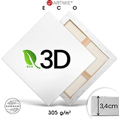 3D живописно платно върху рамка EKO light