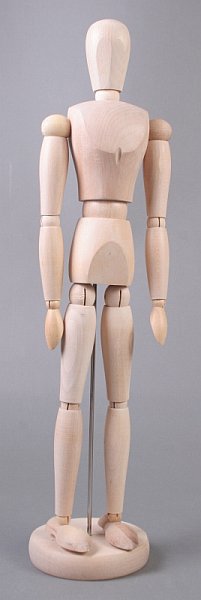 Дървен модел на човешкото тяло - мъж - 40 см