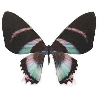 Двустранна хартия под формата на пеперуда Vivi Gade - 20 броя