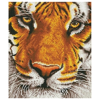 Комплект с перли Diamond Painting - Бенгалски тигър 36 х 42 см