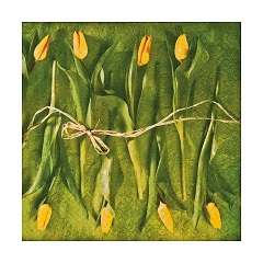 Салфетки за декупаж Fresh Tulips - 1 брой