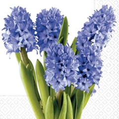 Салфетки за декупаж Hyacinths  - 1 брой