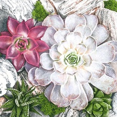 Салфетки за декупаж Succulent Plants and Stones Composition - 1 брой